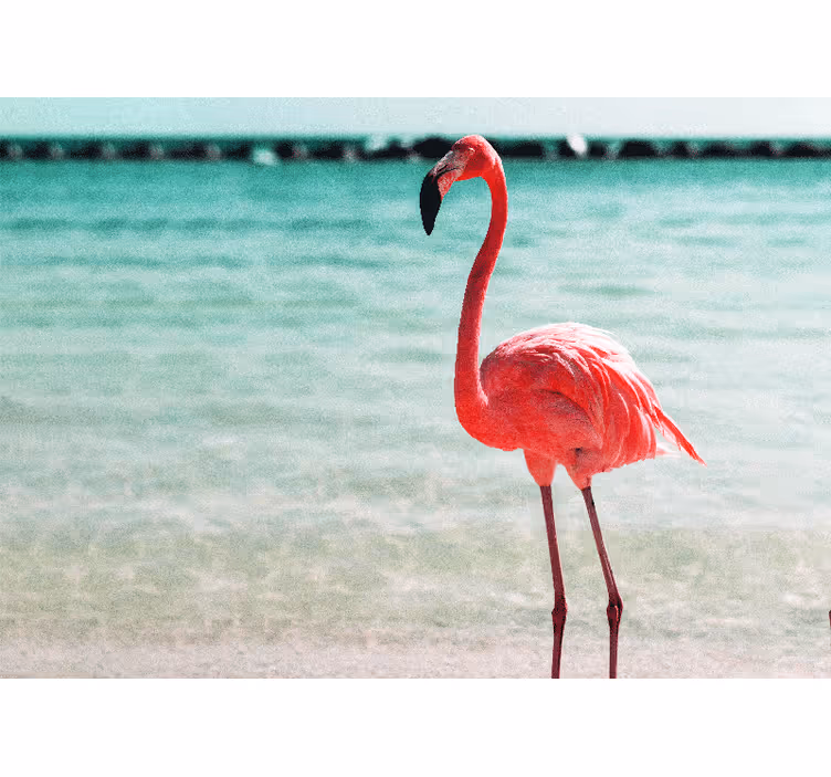 Hayvan duvar resim zarif flamingo duruşu - TenStickers