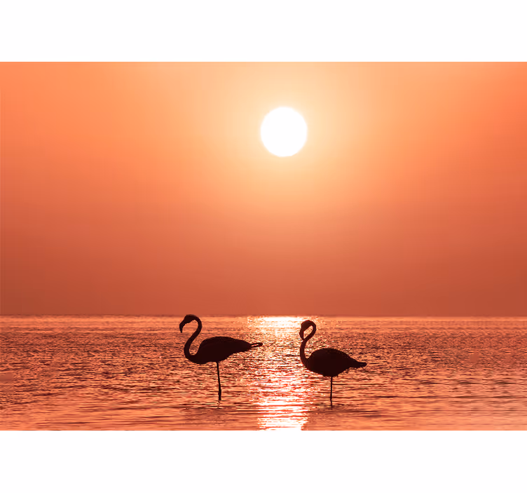 Hayvan duvar resim flamingo gün batımı manzarası - TenStickers