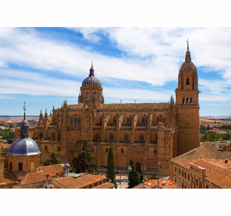 Madrid duvar reslim tarihi katedral manzarası - TenStickers