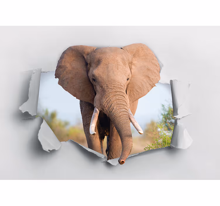 Hayvan duvar resim - görkemli fil portresi - TenStickers