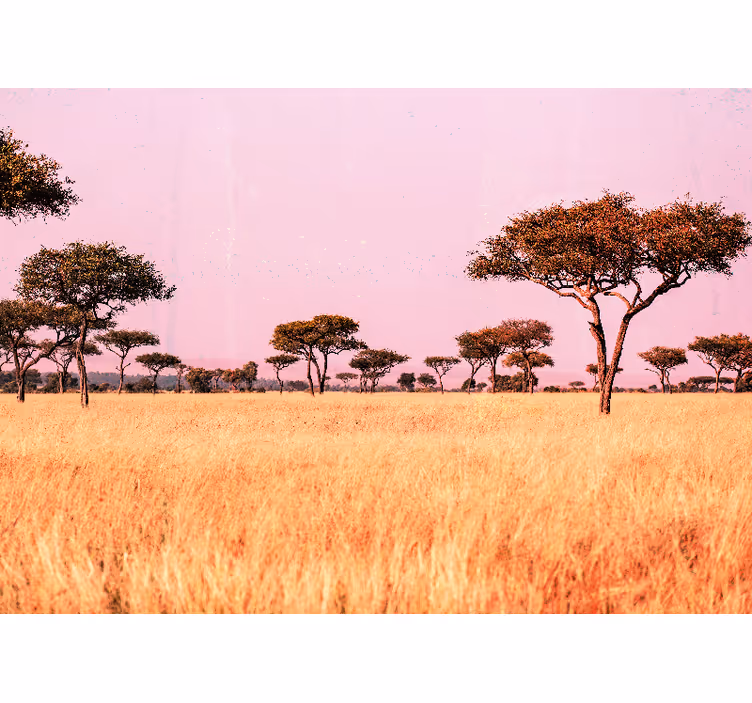 Orijinal afrika savana afrika duvar resmi - TenStickers