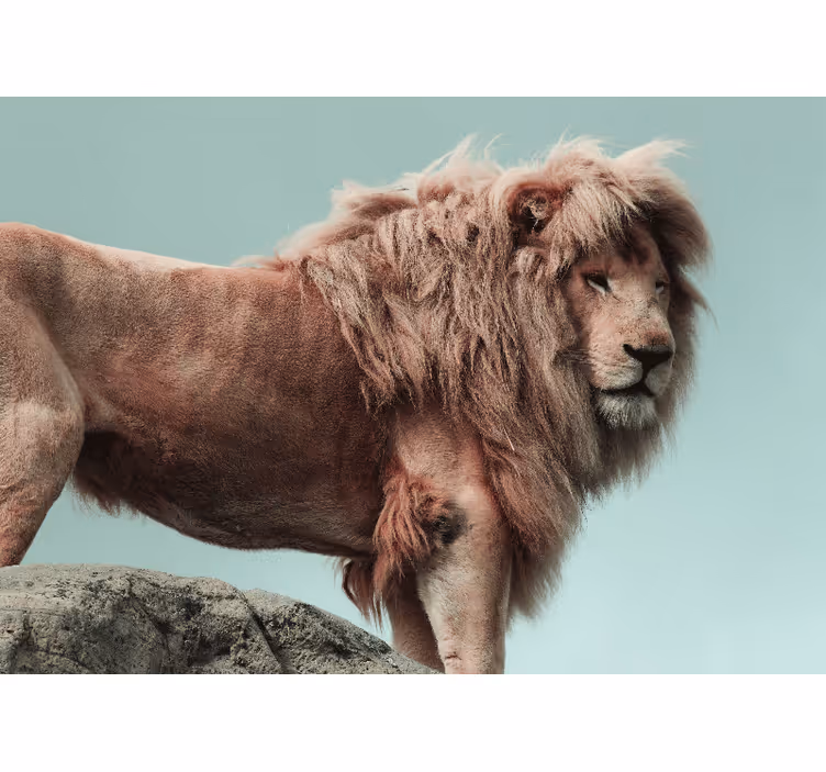 Ormanın aslan kralı afrika duvar kağıdı - TenStickers