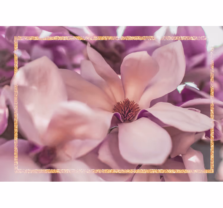 Beyaz ve pembe manolya çiçekleri duvar kağıdı - TenStickers