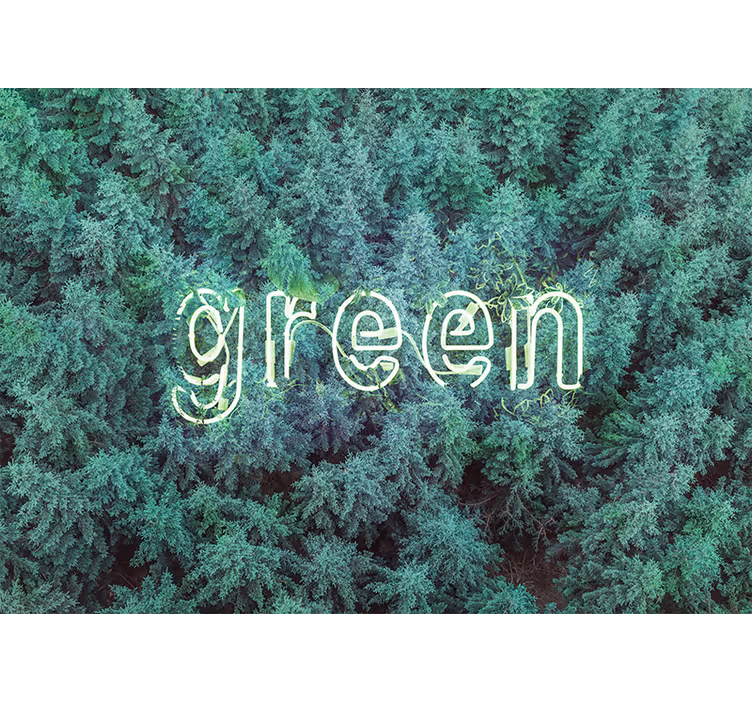 Doğa duvar resim - yeşil orman yazısı - TenStickers