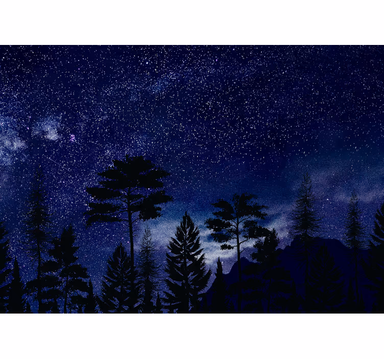 Renkli gece gökyüzü galaksi evlilik duvar resimleri - TenStickers