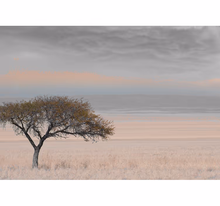 Afrika savana 3 renk evlilik duvar resimleri - TenStickers