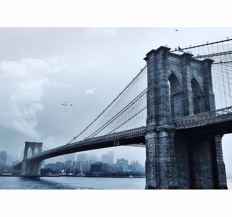 Manhattan köprüsü kış new york duvar kağıdı - TenStickers