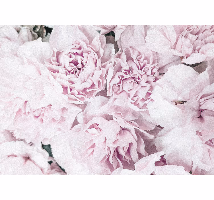 Çiçek duvar resim soft pink blooms - TenStickers