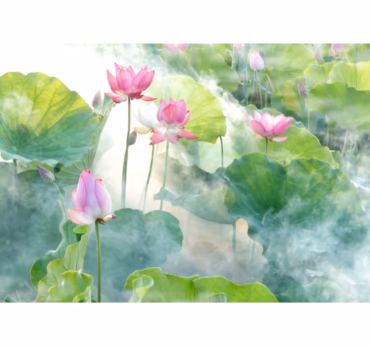 Huzurlu lotus çiçekleri duvar kağıdı - TenStickers