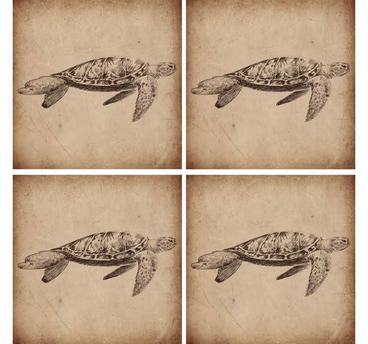 Kaplumbağa illüstrasyon vintage bardak altlığı - TenStickers