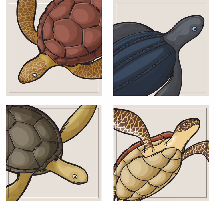 Ucube bardak altlığı renkli kaplumbağa İllüstrasyonları - TenStickers