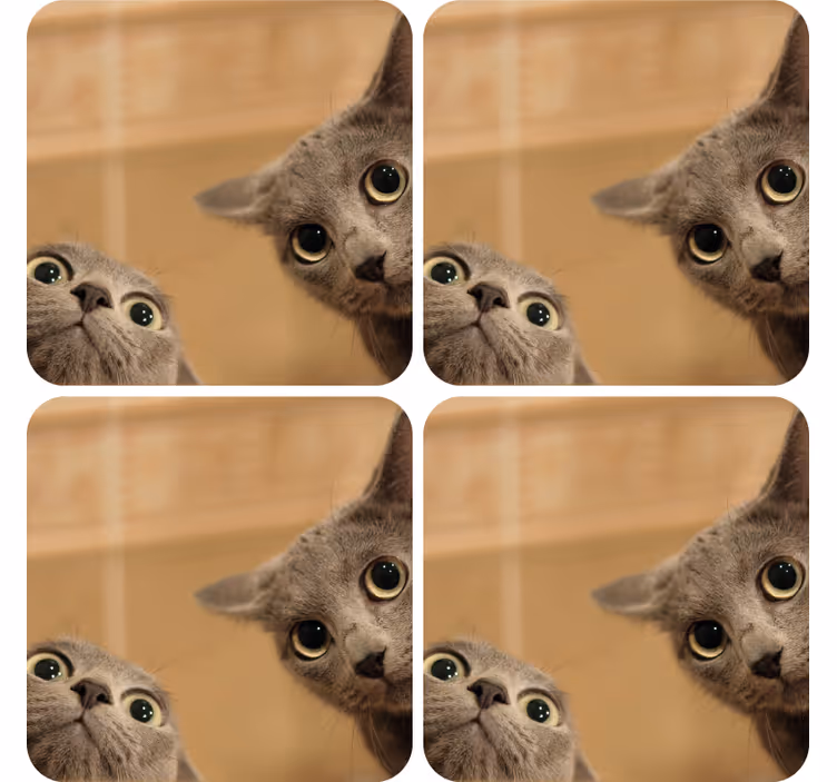 Sevimli kediler modern bardak altlığı seti - TenStickers