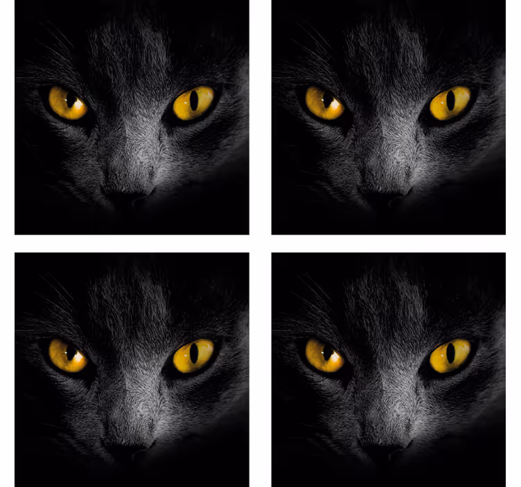 Siyah kedi cadılar bayramı treni - TenStickers