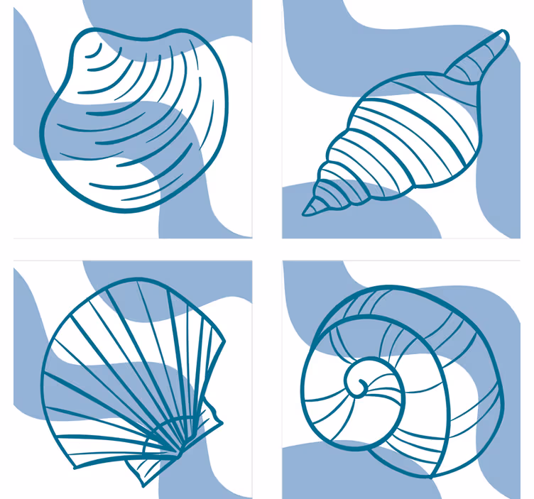 Deniz kabukları desenleri deniz kabuğu bardak altlıkları - TenStickers