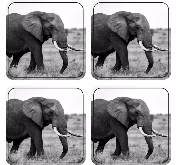 Ucube bardak altlığı fil silueti deseni - TenStickers