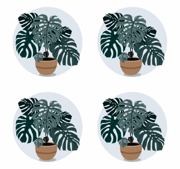 Modern bardak altlığı monstera bitkisi İllüstrasyonu - TenStickers