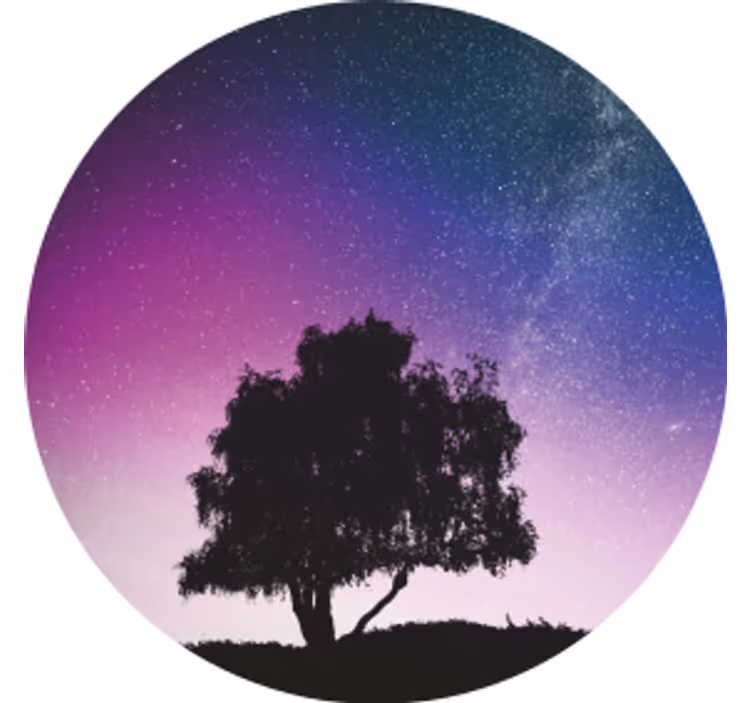 Modern bardak altlığı yıldızlı gece ağacı - TenStickers