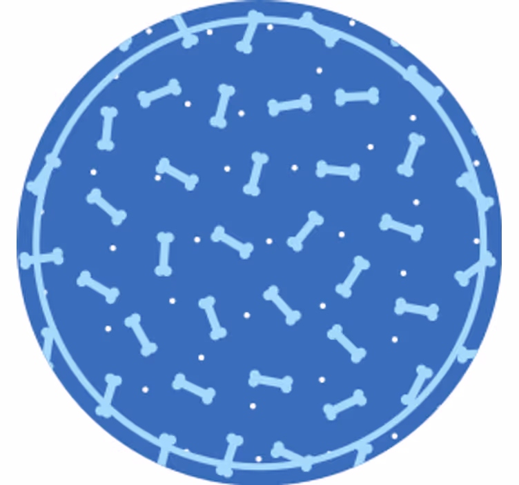 Bardak altlığı kemik desenli daire - TenStickers