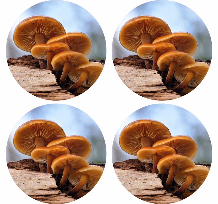 Portakal kabuğu yabani mantar daha fazla bardak - TenStickers