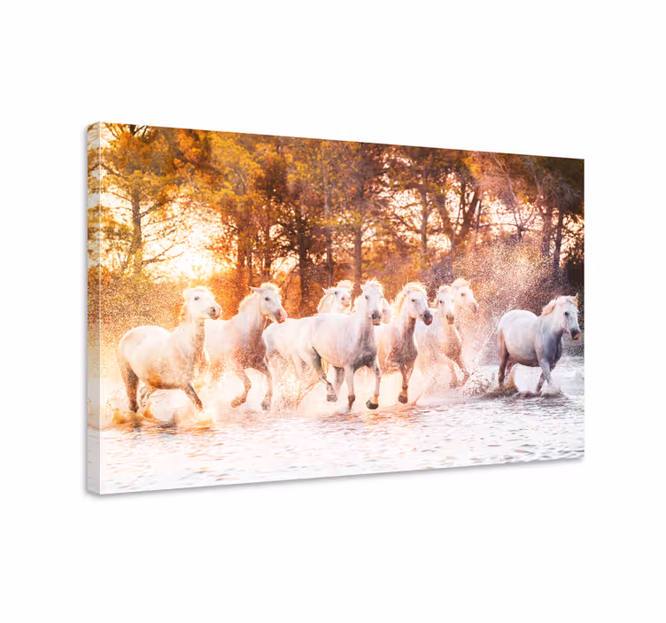 At tablo - yaban atlar sıcak gün batımı manzarası - TenStickers