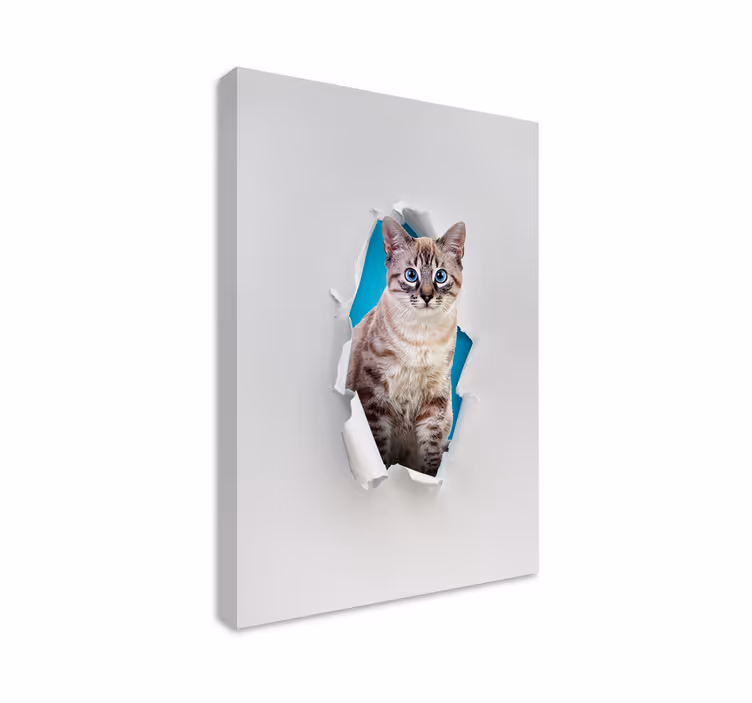 Kediler kanvas tablo - kedi - TenStickers