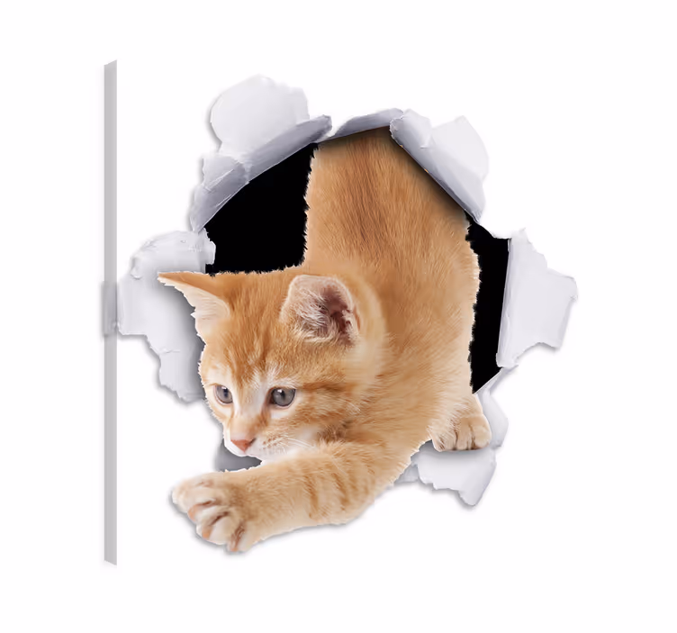 Kediler kanvas tablo - dekoratif kedi duvar çıkartması - TenStickers
