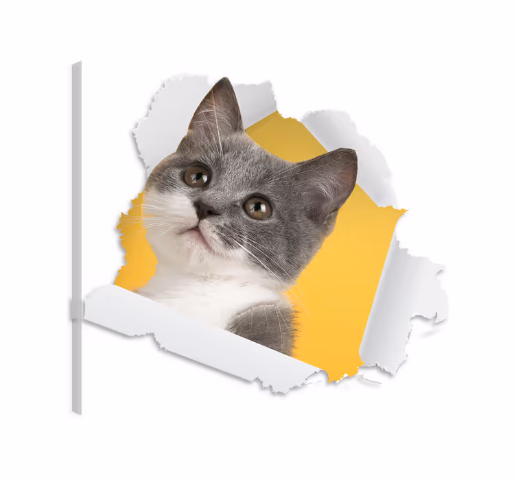 Kediler kanvas tablo 3d kedi Çıkartması - TenStickers