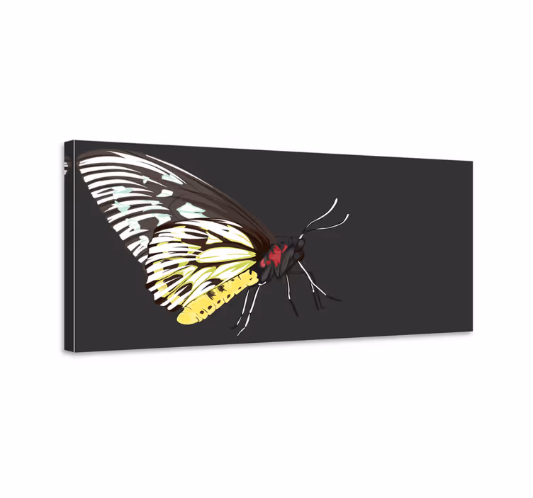 Kelebek tablo - gerçekçi detaylı sarı kelebek - TenStickers