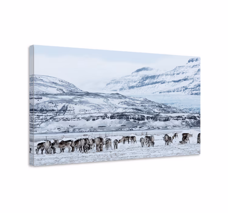 Dinozor kanvas tablo - ren geyiği sürüsü - TenStickers