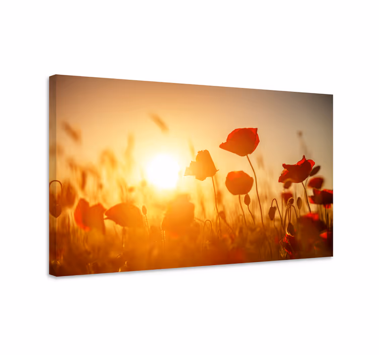 Gün batımı çiçek tuval üzerine kırmızı çiçekler - TenStickers