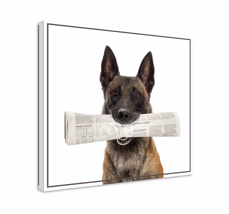 Gazete köpek kanvas tabloları ile köpek - TenStickers
