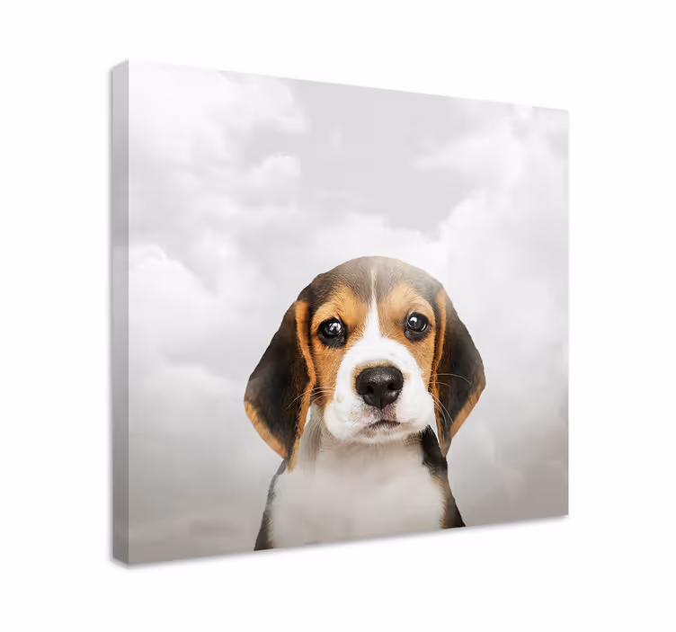 Bulutlar kanvas tablo ile üzgün köpek - TenStickers