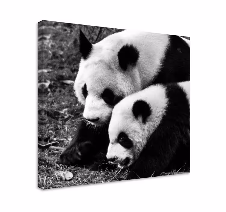 Anne ve bebek panda hayvan kanvas baskılar - TenStickers