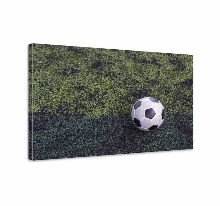 Spor kanvas tablo futbol topu ve Çim - TenStickers