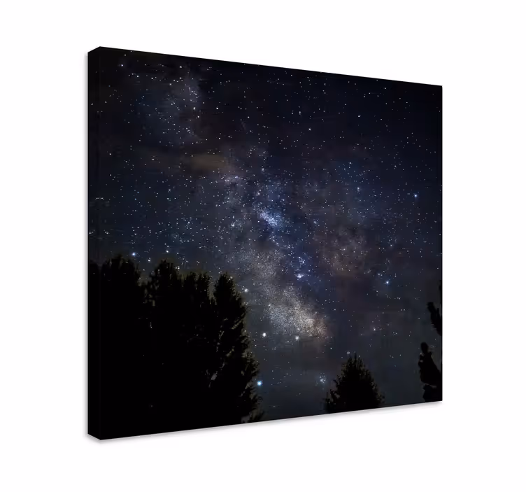 Gece yıldızlı gökyüzü manzara tuval - TenStickers