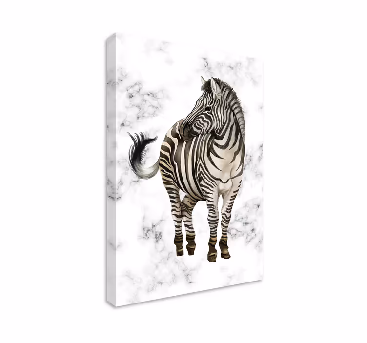 Hayvanlar tablo zebra zarafeti - TenStickers
