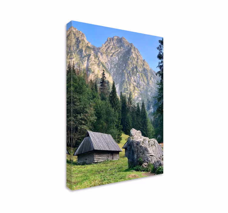 Tablo manzaraları dağlık orman manzarası - TenStickers