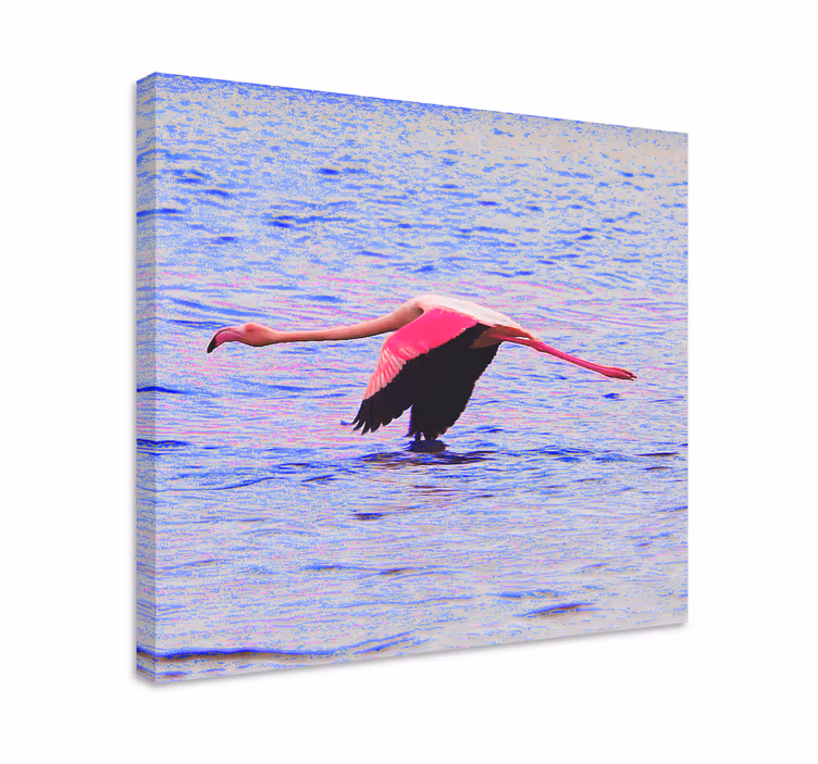 Balık tablo uçan flamingo - TenStickers