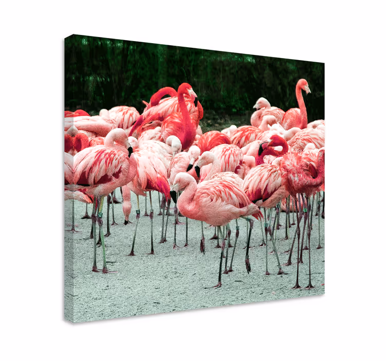 Kuş tablo flamingo sürüsü - TenStickers