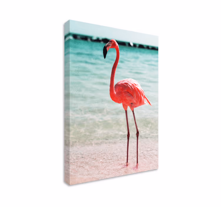 Kuş tablo Şık flamingo duruşu - TenStickers