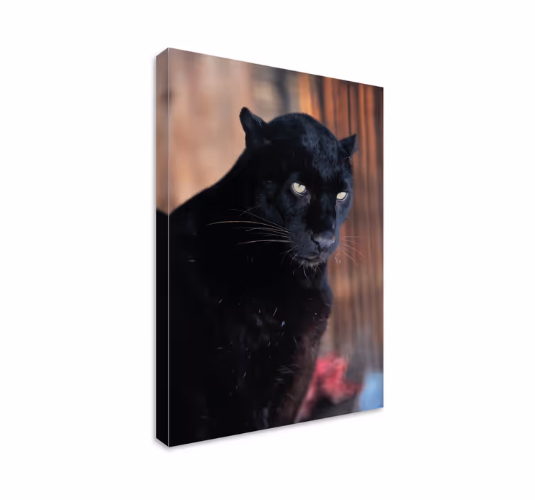 3d kanvas baskıları takip eden leopar - TenStickers