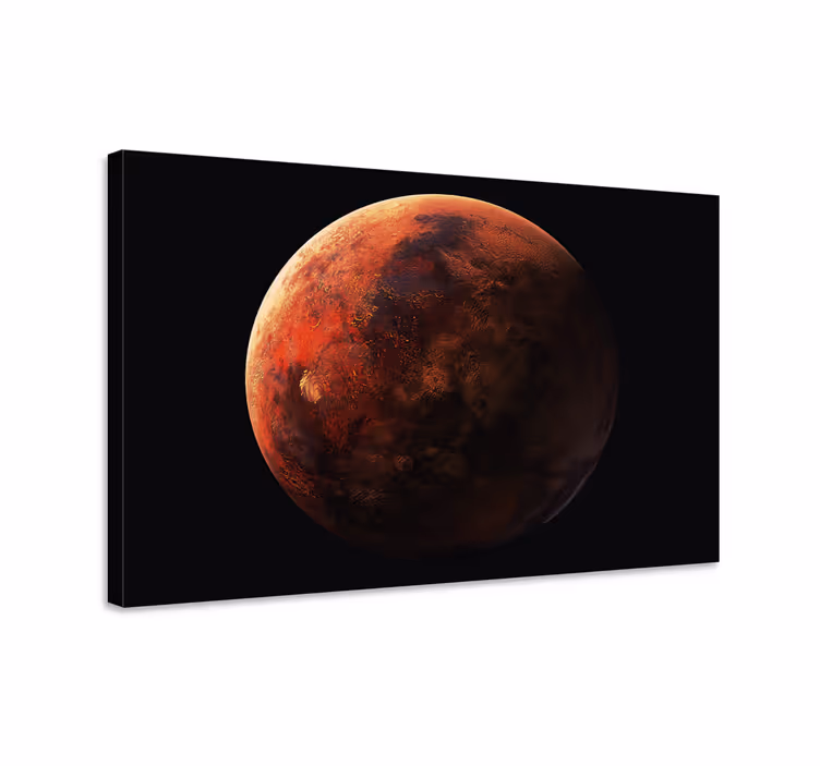 Kırmızı martı 3d kanvas baskılar - TenStickers