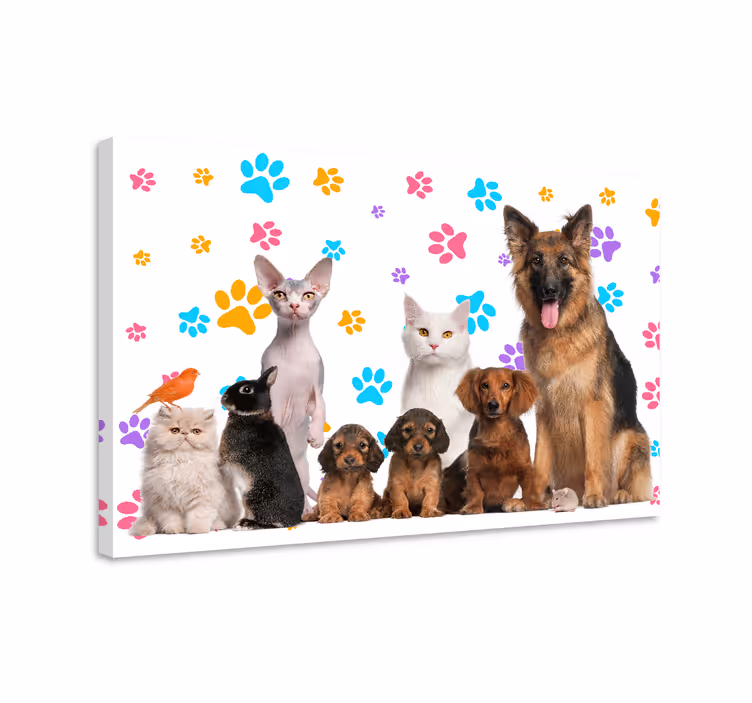 Köpekler ve kediler hayvan kanvas baskılar - TenStickers