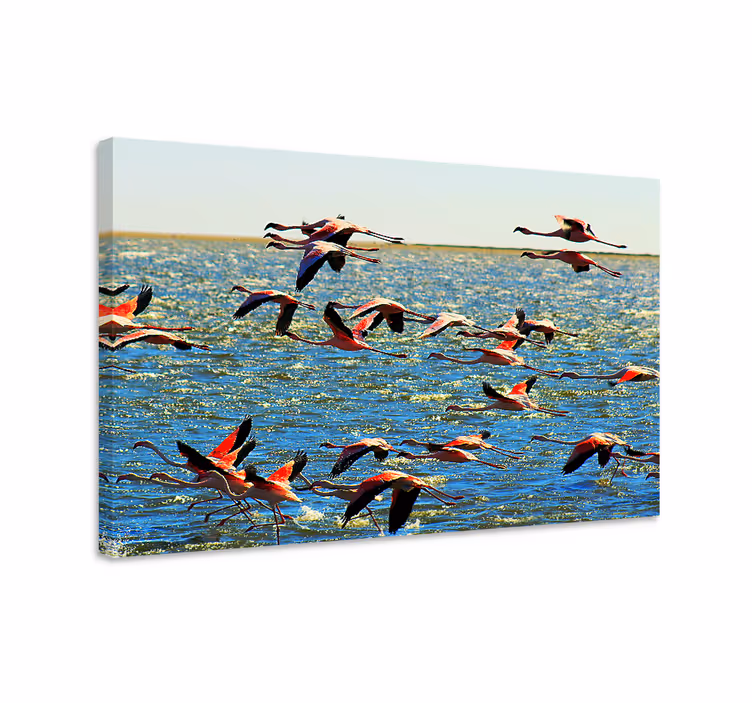 Kuş tablo uçan flamingolar - TenStickers