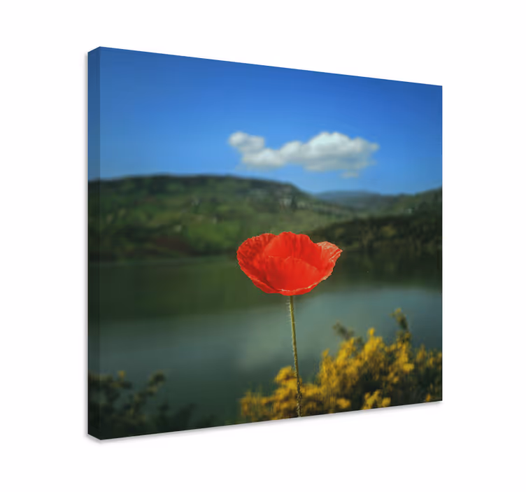 Gökyüzü çiçek tuval ile kırmızı haşhaş - TenStickers