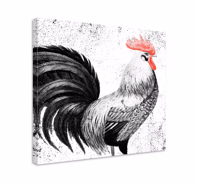 Siyah ve kırmızı horoz kuş tuvali - TenStickers