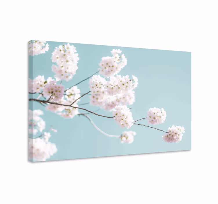 Sakura bloom stem çiçekler ve bitkiler kanvas tablo - TenStickers