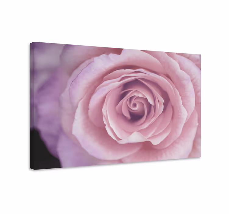 Çiçekler ve bitkiler kanvas tablo - pembe Çiçek detayı - TenStickers