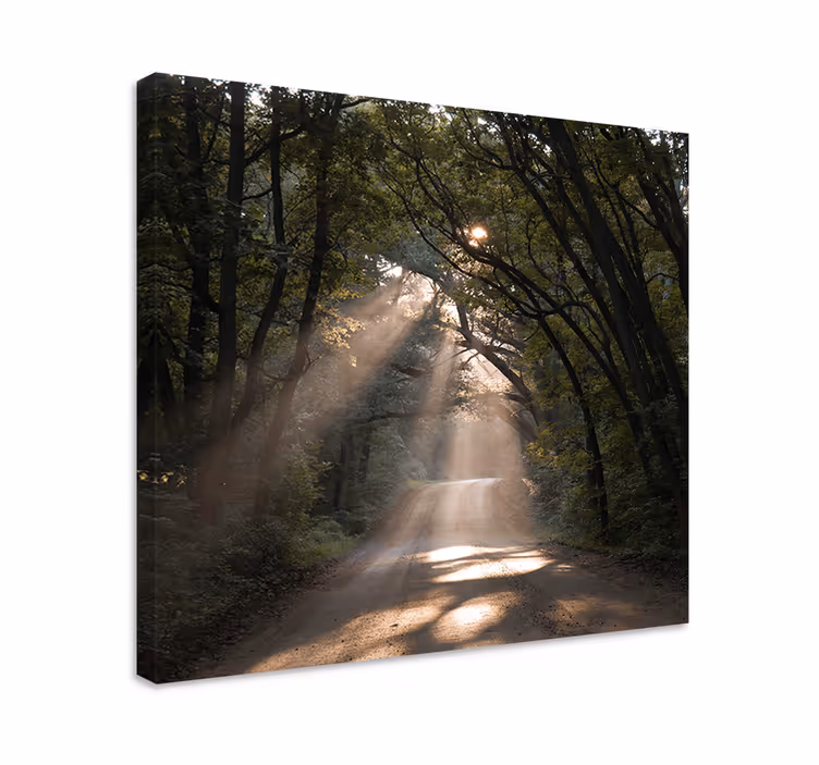 Ormanda doğa toprak yol ağaç duvar tuvali - TenStickers