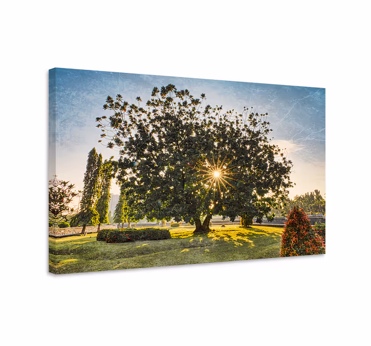 Ağaçlar kanvas tablo - görkemli ağaç silueti - TenStickers